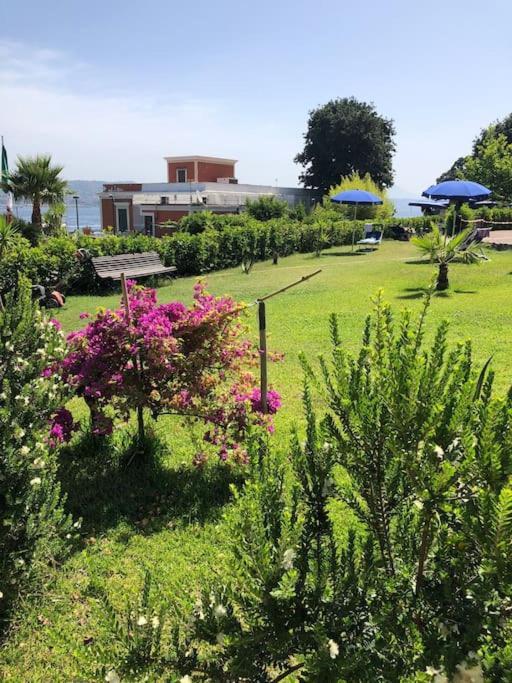 Domus Zagare - Wi-Fi Appartement Baia  Buitenkant foto